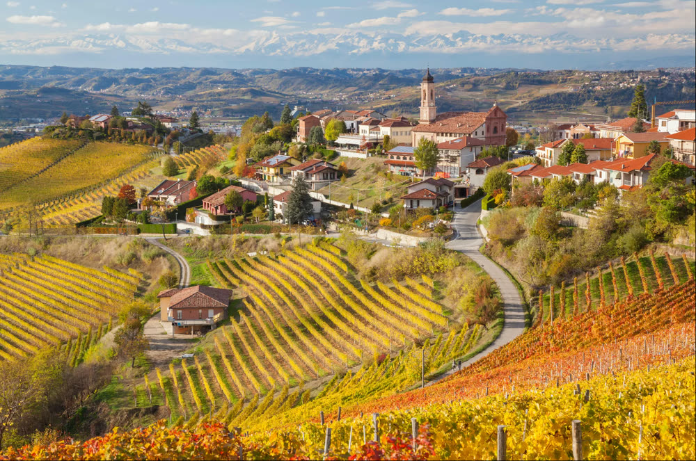 Autumn vineyards of the Langhe in Piedmont, rolling down to a hilltop town